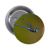 dragonfly buttons