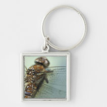Dragonfly close-up keychain