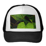 "Dragonfly"  CricketDiane Designer Stuff Mesh Hats