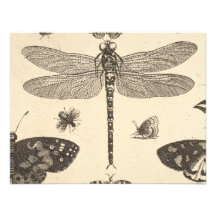 Dragonfly ( detail ) Vintage Art Personalized Invites