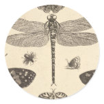 Dragonfly ( detail ) Vintage Art Round Stickers