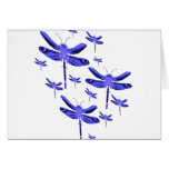 Dragonfly Dragonflies Cards