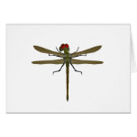 Dragonfly Dragonflies Greeting Card