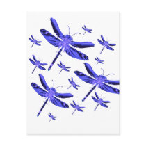 Dragonfly Dragonflies Postcard