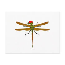 Dragonfly Dragonflies Post Cards