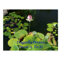 Dragonfly Dreams ~ Dream it, Do it! Post Card