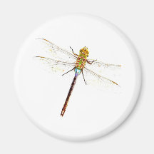 Dragonfly Dreams Magnets