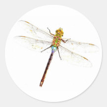 Dragonfly Dreams Sticker