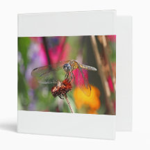 Dragonfly in Colourful Garden Vinyl Binders