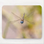 Dragonfly in Flight Photo