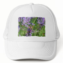 Dragonfly in Lavender Garden Hats
