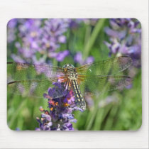Dragonfly in Lavender Garden Mousepad