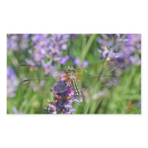 Dragonfly in Lavender Garden Stickers