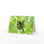 Dragonfly in the Garden Greeting Card