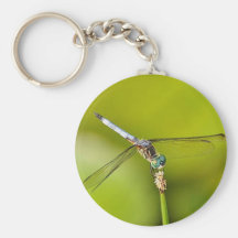 Dragonfly Key Chains