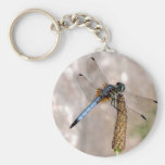 Dragonfly! Keychain
