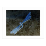 Dragonfly & Lace Post Card