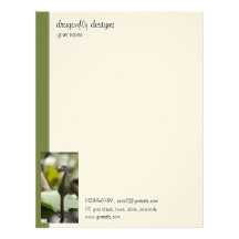 Dragonfly Letterhead
