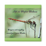 Dragonfly Magnet