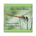 Dragonfly Magnet