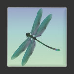 Dragonfly Magnet magnets