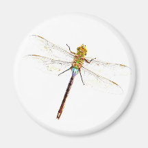 Dragonfly Magnet