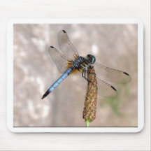 Dragonfly! Mouse Pad