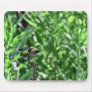 Dragonfly Mouse Pads