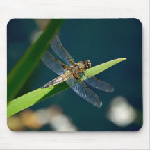 Dragonfly Mousepad