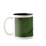 Dragonfly on Flower Photo Art Mugs