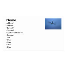 Dragonfly Photo Business Card Templates