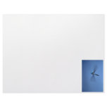 Dragonfly Photo Letterhead Template