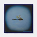 Dragonfly photo magnet