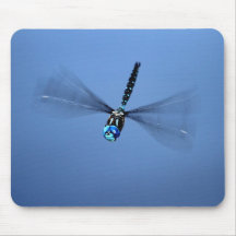Dragonfly Photo Mouse Pads