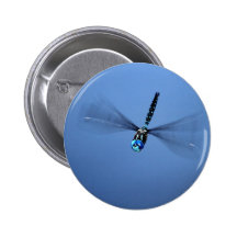 Dragonfly Photo Pinback Button