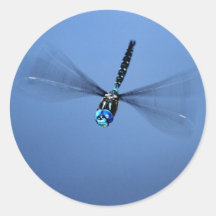 Dragonfly Photo Round Sticker