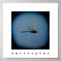 Dragonfly photo square print poster
