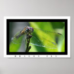 Dragonfly Print