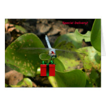 Dragonfly Santa Greeting Cards