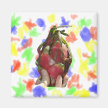 Dragonfruit held in fingers photo magnets