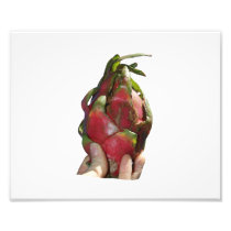 Dragonfruit held in fingers photo