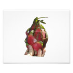 Dragonfruit held in fingers photo