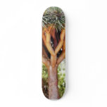 Dragons Blood Trees Skate Deck