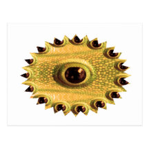 DRAGON's Eye - Golden Chinese Art Postcards