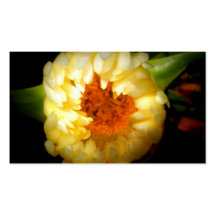 Drake's Beach Flower No. 1 Business Cards