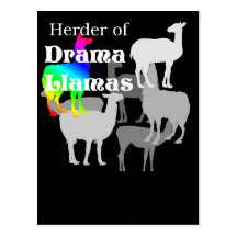 Drama Llama Herder Postcard