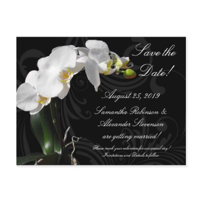 Dramatic Black and White Orchid Flower with Swirl Postcard by CustomInvites