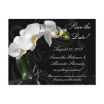 Dramatic Black and White Orchid Flower with Swirl postcards