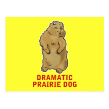 Dramatic Prairie Dog Post Card