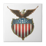 Drapeau américain patriotique vintage et Eagle cha Carreau